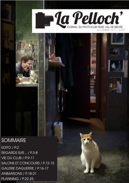 Sommaire Edito / P.2 Regards Sur