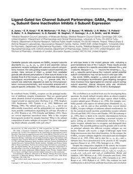 GABAA Receptor ␣6 Subunit Gene Inactivation Inhibits ␦ Subunit Expression