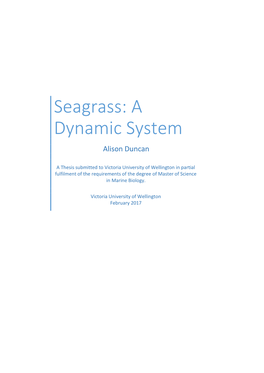 Seagrass: a Dynamic System