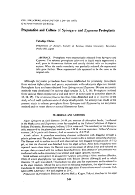 Preparation and Culture of Spirogyra and Zygnema Protoplasts