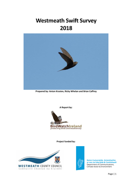 Westmeath Swift Survey 2018 2018