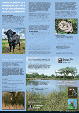 Download Our Rewilding the Soar Valley Leaflet
