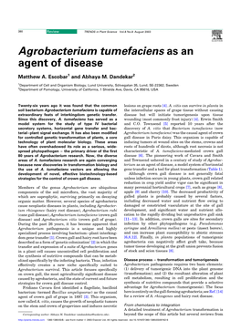 Agrobacterium Tumefaciens As an Agent of Disease