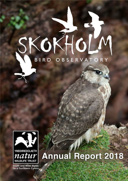 Skokholm Annual Report 2018