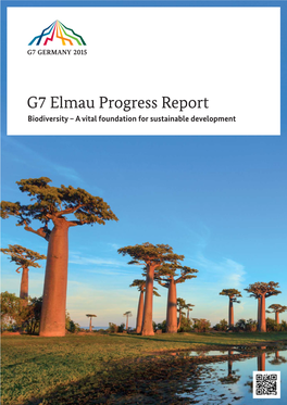 G7 Elmau Progress Report