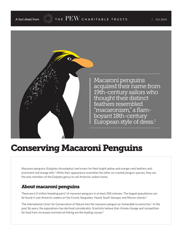 Conserving Macaroni Penguins Fact Sheet