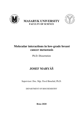 MASARYK UNIVERSITY Molecular Interactions in Low-Grade Breast