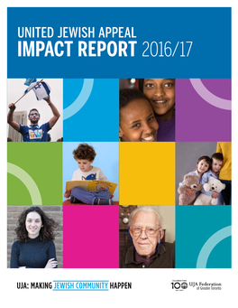 Impact Report 2016/17