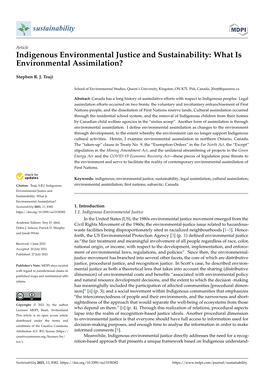 Indigenous Environmental Justice and Sustainability: What Is Environmental Assimilation?