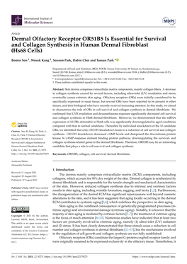 Dermal Olfactory Receptor OR51B5 Is Essential for Survival and Collagen Synthesis in Human Dermal Fibroblast (Hs68 Cells)