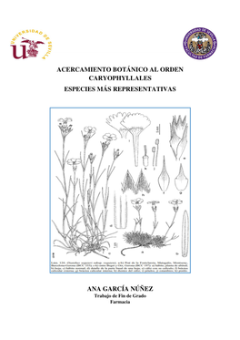 Acercamiento Botánico Al Orden Caryophyllales Especies Más Representativas