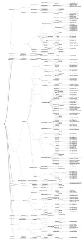 Bacteria Actinobacteriota Bacteroidota Campylobacterota Cyanobacteria