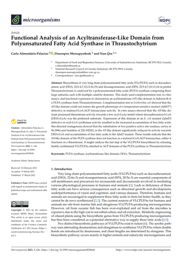 Functional Analysis of an Acyltransferase-Like Domain from Polyunsaturated Fatty Acid Synthase in Thraustochytrium