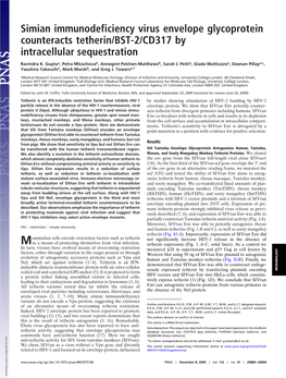 Simian Immunodeficiency Virus Envelope Glycoprotein Counteracts Tetherin/BST-2/CD317 by Intracellular Sequestration