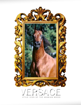 VERSACE Style Icon of the Arabian Breed DEDICATED to VERSACE March 11, 1995 - February 15, 2008