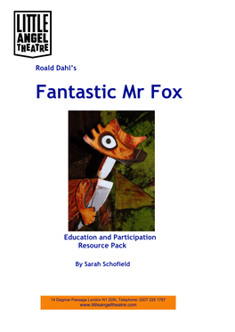 Roald Dahl's Classic Tale of Wit and Education Resource Pack Determination Is Brought to Life with Ingenious Written and Produced by Puppets and Enchanting Music