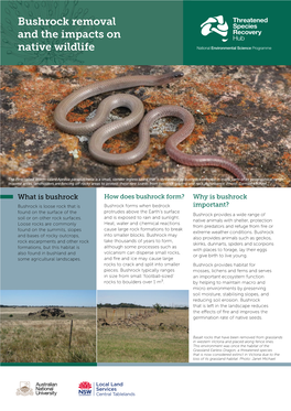 Bushrock Removal and the Impacts on Native Wildlife