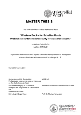 Master Thesis