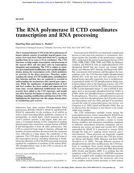 The RNA Polymerase II CTD Coordinates Transcription and RNA Processing