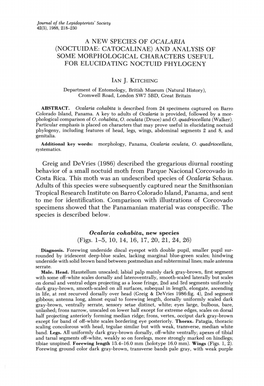 A New Species of Ocalaria (Noctuidae: Catocalinae) and Analysis of Some Morphological Characters Useful for Elucidating Noctuid Phylogeny