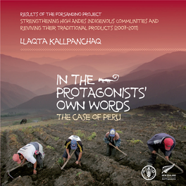 In the Protagonists Own Words. the Case of Peru