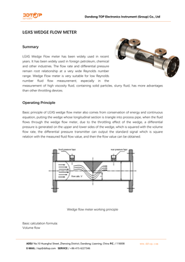 Lgxs Wedge Flow Meter