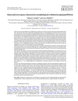 Stasis and Convergence Characterize Morphological Evolution in Eupolypod II Ferns