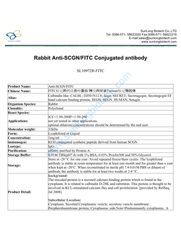 Rabbit Anti-SCGN/FITC Conjugated Antibody