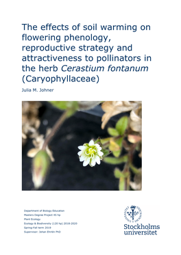 The Effects of Soil Warming on Flowering Phenology, Reproductive Strategy and Attractiveness to Pollinators in the Herb Cerastium Fontanum (Caryophyllaceae)