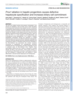 Prox1 Ablation in Hepatic Progenitors Causes Defective Hepatocyte