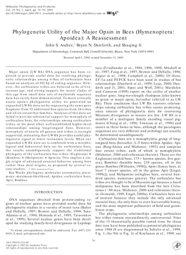 Hymenoptera: Apoidea): a Reassessment John S