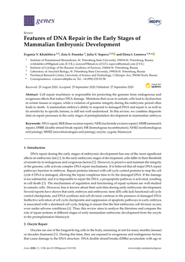 Features of DNA Repair in the Early Stages of Mammalian Embryonic Development