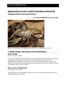 Appalachian Brook Crayfish (Cambarus Bartonii) ERSS