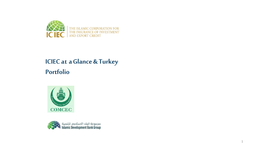 ICIEC at a Glance & Turkey Portfolio