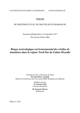 THESE Risque Toxicologique Environnemental Des Résidus De