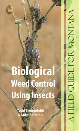 Biological Weed Control Using Insects