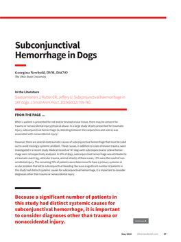 Subconjunctival Hemorrhage in Dogs