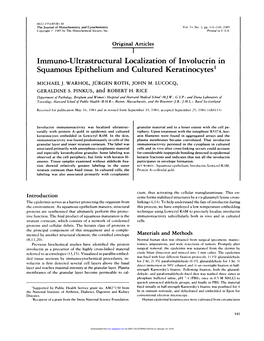 Immuno-Ultrastructural Localization of Involucrin in Squamous Epithelium and Cultured Keratinocytes’