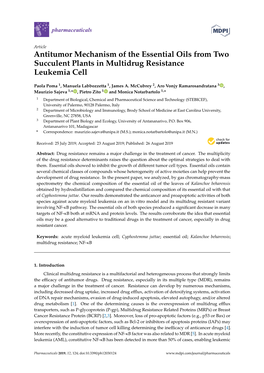 Antitumor Mechanism of the Essential Oils from Two Succulent Plants in Multidrug Resistance Leukemia Cell