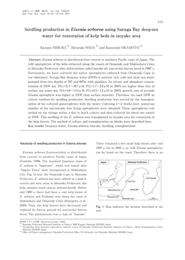 Seedling Production in Eisenia Arborea Using Suruga Bay Deep-Sea Water for Restoration of Kelp Beds in Isoyake Area