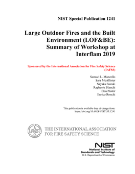 Large Outdoor Fires and the Built Environment (LOF&BE): Summary of Workshop at Interflam 2019