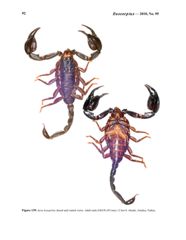 Euscorpius — 2010, No. 95 92