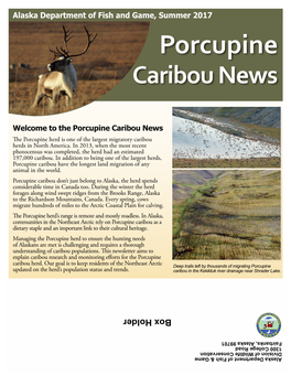 Porcupine Caribou News © Jim Dau