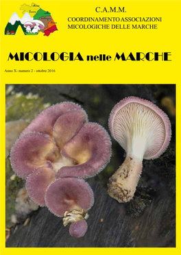 MICOLOGIA Nelle MARCHE