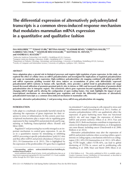 The Differential Expression of Alternatively Polyadenylated Transcripts Is a Common Stress-Induced Response Mechanism That Modul