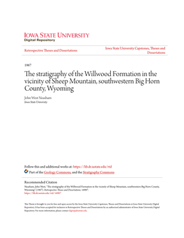 The Stratigraphy of the Willwood Formation in the Vicinity of Sheep