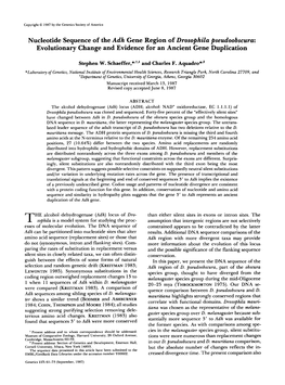 Nucleotide Sequence of the Adh Gene Region of Drosophila Pseudoobscura: Evolutionary Change and Evidence for an Ancient Gene Duplication