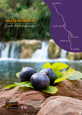 GUIDE TOURISTIQUE VALLÉE DU GAPEAU Curiosités, Plaisirs Et Gourmandises ! SOLLIÈS-TOUCAS