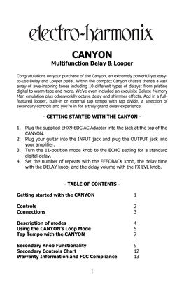 CANYON Multifunction Delay & Looper