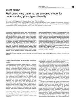 An Evo-Devo Model for Understanding Phenotypic Diversity